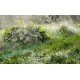 GRINDA 7.5 м, шланг-дождеватель 8-429015-7