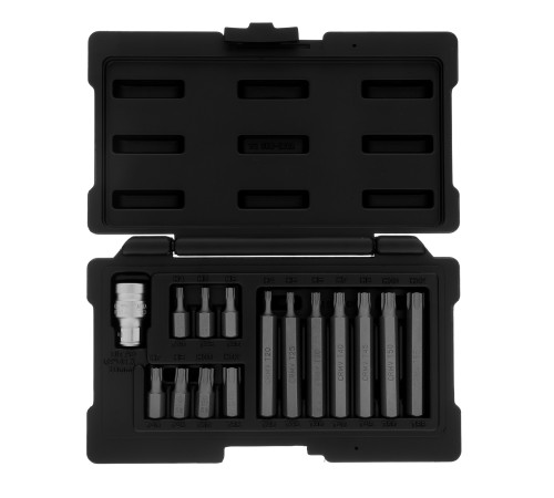 Набор бит TORX, хвостовик-шестигранник, 10 мм, CrV, 15 предметов Stels Набор бит TORX, хвостовик-шестигранник, 10 мм, CrV, 15 предметов Stels
