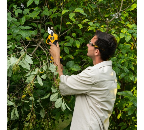 Секатор аккумуляторный, бесщет., CP-30BL, Li-Ion, 20 В, лезвия SK5 // Denzel