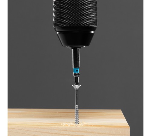 Набор бит Torx 15 х 50, сталь S2, 10 шт. Gross