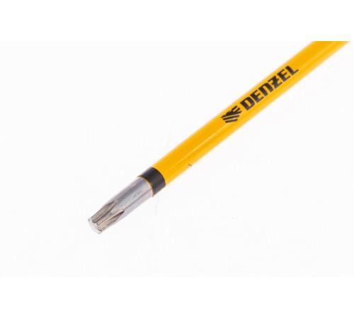 Бита T20x100 мм, 5 шт.// Denzel Бита T20x100 мм, 5 шт.// Denzel