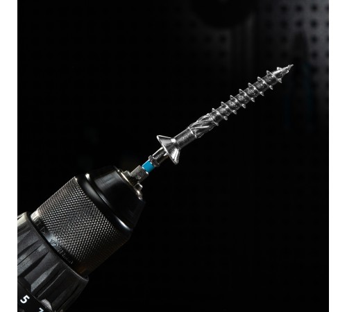 Набор бит Torx 30 х 50, сталь S2, 10 шт. Gross
