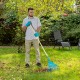 Грабли веерные стальные, 430 х 1550 мм, 22 плоских зуба, лакированный черенок, Luxe, Palisad