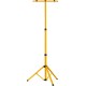 STAYER MAX Stable, телескопический штатив для 2х прожекторов в сумке (56922-B)