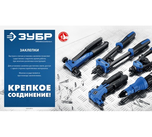 ЗУБР 4.8 х 21 мм, 250 шт., алюминиевые заклепки 31310-48-21 Профессионал