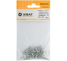 Шурупы оцинкованные, универсальные 3 х 20 (фасовка 38 шт)