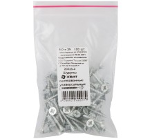 Шурупы оцинкованные, универсальные 4 х 25 100 шт Фасовка