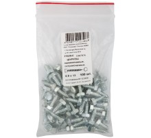 Шурупы оцинкованные, остроконечные DIN7976, 4,8 х 13 100 шт Фасовка