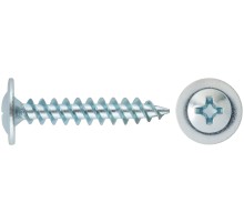 Саморезы для листовых пластин, остроконечные 4,2 х 25 (фасовка 16 шт)