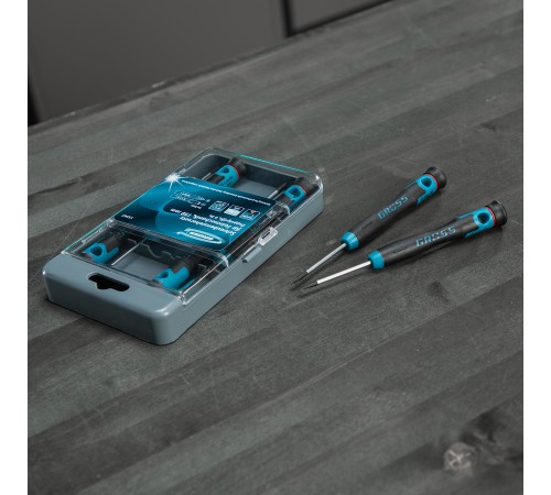 Набор отверток для точной механики, CrMo, двухкомпонентные рукоятки, 6 шт, пластиковый бокс Gross