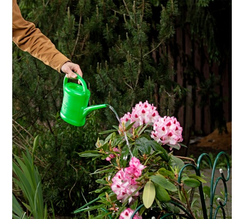 Лейка садовая, 2 л, пластмассовая