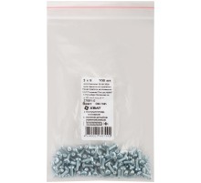 Винт с полуцилиндрич. головкой с полной резьбой оцинков. DIN 7985 3х8 100 шт Фасовка