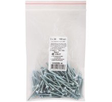 Винт с полуцилиндрич. головкой с полной резьбой оцинков. DIN 7985 3х30 100 шт Фасовка