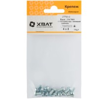 Винт с полуцилиндрич. головкой с полной резьбой оцинков. DIN 7985 4х8 14 шт.(фасовка)