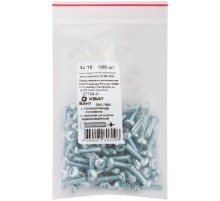 Винт с полуцилиндрич. головкой с полной резьбой оцинков. DIN 7985 4х16 100 шт Фасовка