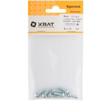 Винт с полуцилиндрич. головкой с полной резьбой оцинков. DIN 7985 5х12 7 шт.(фасовка)