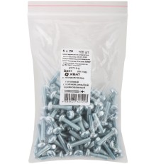Винт с полуцилиндрич. головкой с полной резьбой оцинков. DIN 7985 5х20 100 шт Фасовка
