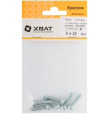Винт с полуцилиндрич. головкой с полной резьбой оцинков. DIN 7985 5х20 6 шт.(фасовка)