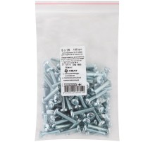 Винт с полуцилиндрич. головкой с полной резьбой оцинков. DIN 7985 5х25 100 шт Фасовка