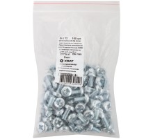 Винт с полуцилиндрич. головкой с полной резьбой оцинков. DIN 7985 6х12 100 шт Фасовка