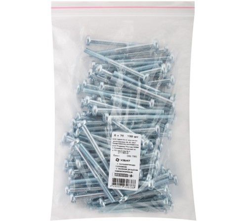 Винт с полуцилиндрич. головкой с полной резьбой оцинков. DIN 7985 6х70 100 шт Фасовка