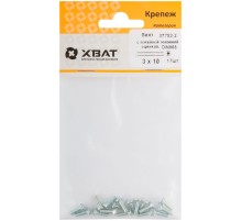 Винт с потайной головкой с полной резьбой оцинкованный DIN 965 3х10 17 шт.(фасовка)