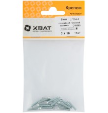Винт с потайной головкой с полной резьбой оцинкованный DIN 965 3х16 15 шт.(фасовка)