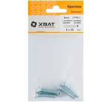 Винт с потайной головкой с полной резьбой оцинкованный DIN 965 6х30 5 шт.(фасовка)