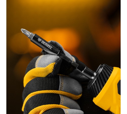 Набор бит с магнитным держателем, S2, 8 шт Denzel