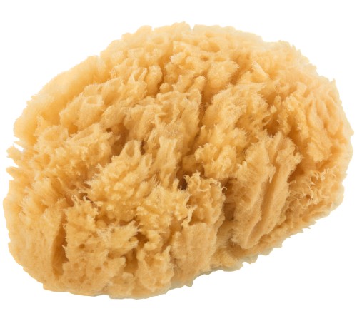 Губка натуральная морская, для декорирования, 12/13 см МС