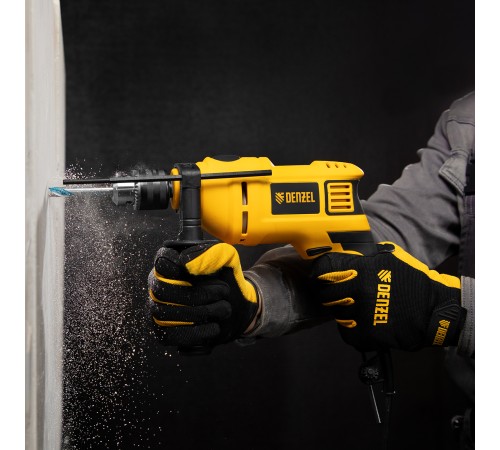 Дрель ударная ID-750, 750 Вт, 0-3000 об/мин, 48000 уд/мин Denzel