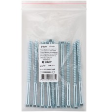 Болт сантехнический DIN 571 6/100 10 шт Фасовка MU