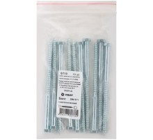 Болт сантехнический DIN 571 6/110 10 шт Фасовка