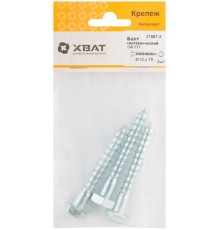 Болт сантехнический DIN 571 10/70 (фасовка 3 шт.)