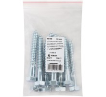 Болт сантехнический DIN 571 10/80 10 шт Фасовка MU