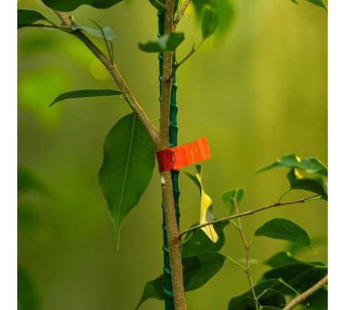 Набор, тапенер садовый для подвязки растений, скобы 10 000 шт., 11 лент 30 м, LUXE Palisad