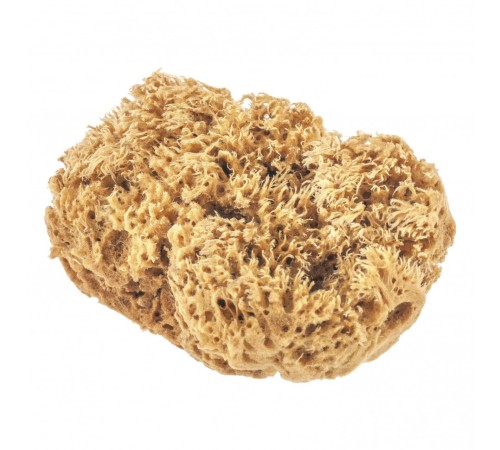 Губка натуральная для декоративных покрытий Matrix Губка натуральная для декоративных покрытий Matrix