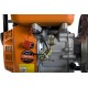 Мотопомпа Sturm! BP8760VD