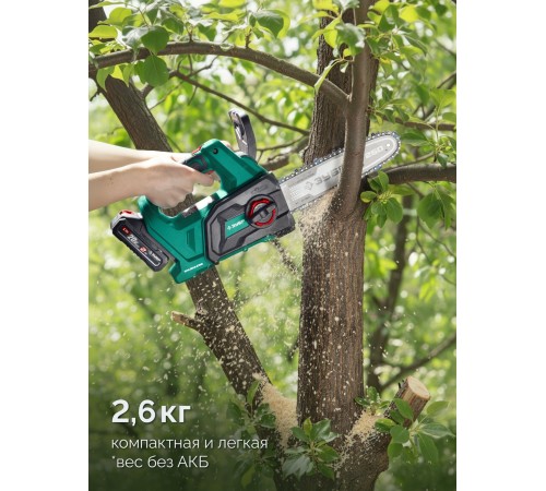 ЗУБР 20 В, 250 мм шина, 1 АКБ LMS (2 Ач), пила цепная аккумуляторная (ПЦБ-2025-21)