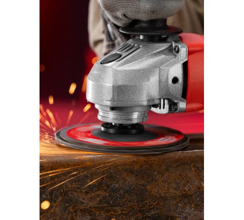 Круг лепестковый торцевой, P 120, 125 х 22.2 мм Matrix