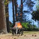 Культиватор электрический PATRIOT Elektra 1000