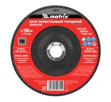 Круг лепестковый торцевой, P 60, 180 х 22.2 мм Matrix