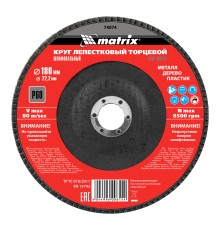 Круг лепестковый торцевой, P 60, 180 х 22.2 мм Matrix