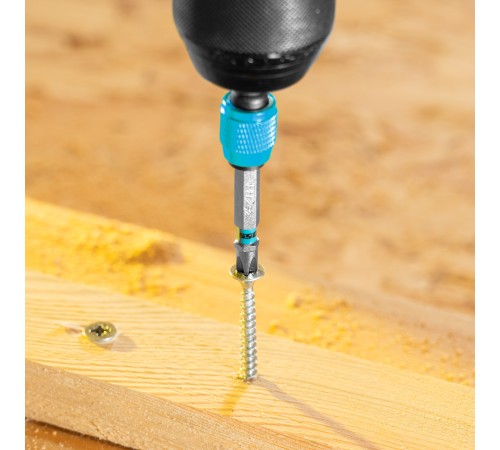 Бита PH2х50мм, сталь S2, шестигр., отрывн., 10 шт. Gross