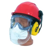 Щиток защитный РОСОМЗ™ PANORAMA к очкам закрытым, 00777