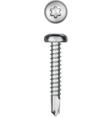 KRAFTOOL DS-P, 32 х 4.8 мм, А2, сверло, полукруглая головка, ТХ25, 250 шт, саморез нержавеющий (300931-48-032)