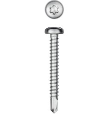 KRAFTOOL DS-P, 38 х 4.8 мм, А2, сверло, полукруглая головка, ТХ25, 200 шт, саморез нержавеющий (300931-48-038)