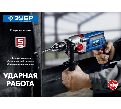 ЗУБР 850 Вт, дрель ударная ДУ-П850-2 ЭРМ Профессионал ЗУБР 850 Вт, дрель ударная ДУ-П850-2 ЭРМ Профессионал