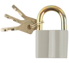 Замок навесной, корпус из алюминиевого сплава 45х37 мм, стальная дужка  8 мм КУРС