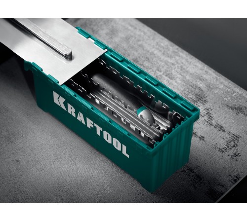KRAFTOOL 280х115 мм (6шт) - 480х130 мм (6шт), набор нержавеющих гребенок со сменной 2к ручкой, в пластиковом кейсе (33268-H12) KRAFTOOL 280х115 мм (6шт) - 480х130 мм (6шт), набор нержавеющих гребенок со сменной 2к ручкой, в пластиковом кейсе (33268-H12)